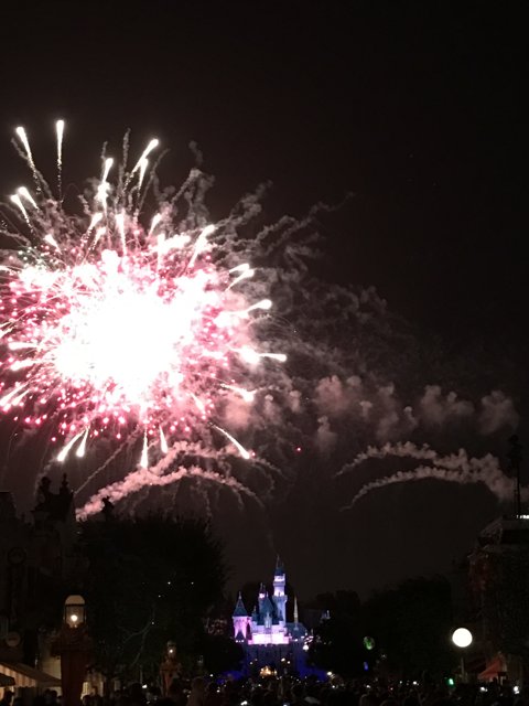 Magical Fireworks over Sleeping Beauty Castle