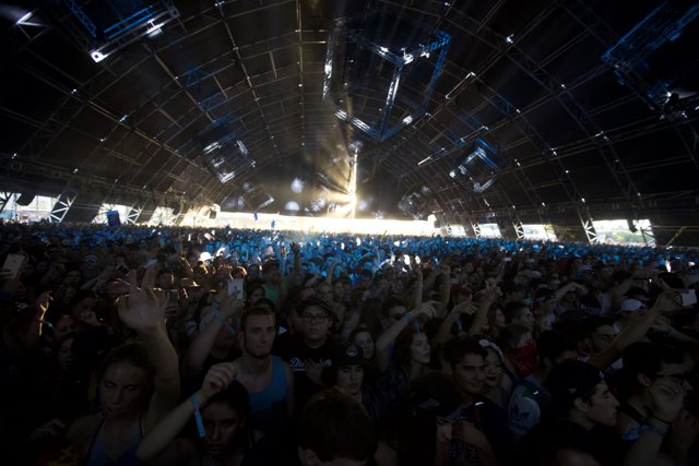 2016 Coachella Concertgoers Raise the Roof