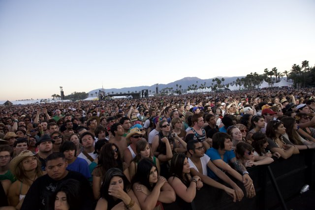 Coachella 2009: A Sea of People