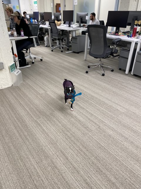 A Walk in the Office