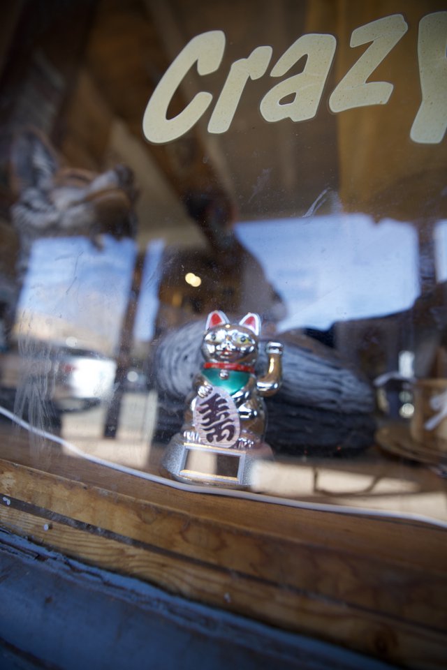 Maneki-neko Lucky Cat in Window Display
