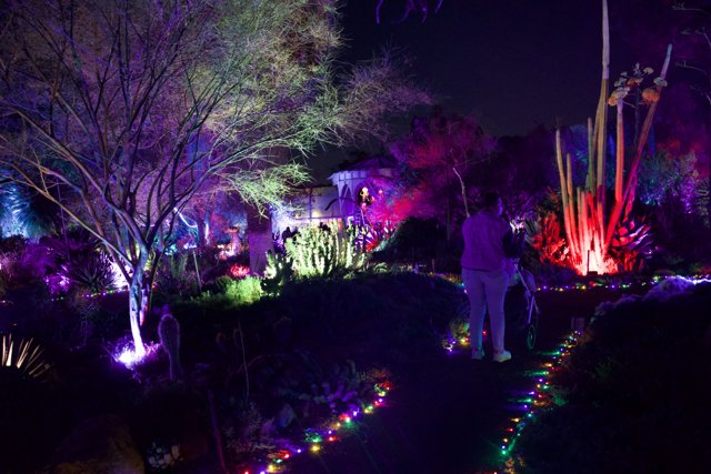 Enchanted Evenings at Ruth Bancroft Garden