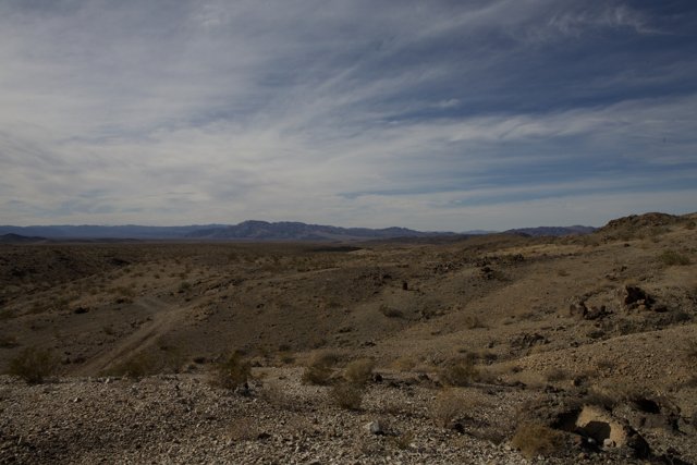 A Serene View of the Desert from a Hilltop