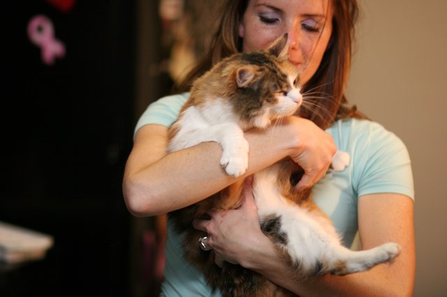 Woman Tenderly Cradling Two Fluffy Kittens Indoors