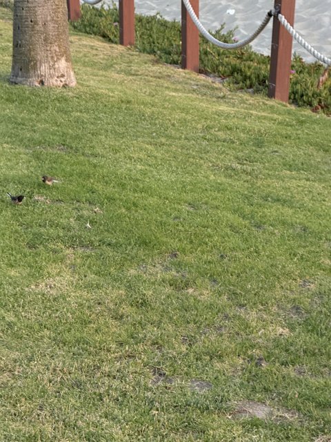 A Serene Moment in Oxnard
