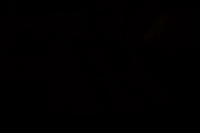 Darkness at the Sacramento Train Museum