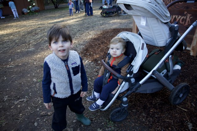 Autumn Stroll at Thistlewyck
