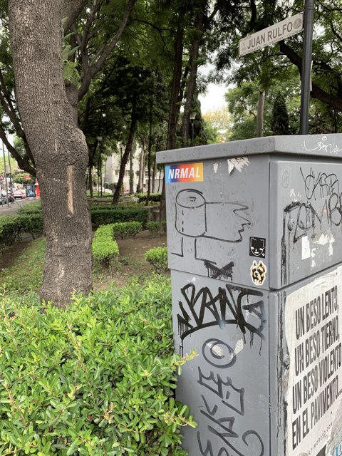 Graffiti Mailbox in the Park