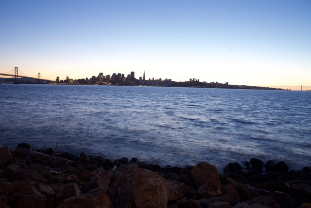 Cityscape View from the Shoreline