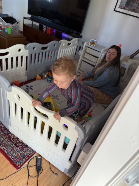 Playful Moments in the Living Room