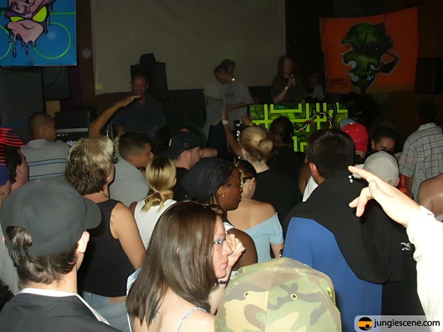 Night Club Crowd with DJ