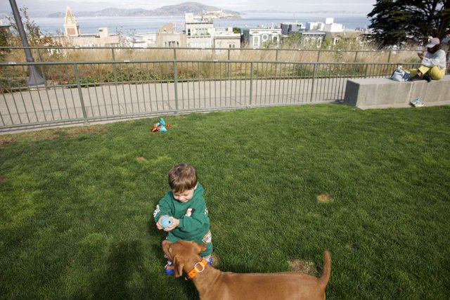 Cherished Moments: Boy's Playtime with Golden Retriever in Francisco Park