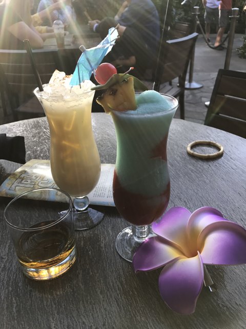 Refreshing Drinks and a Blooming Flower
