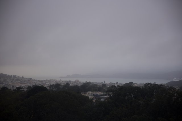 Mystical Cityscape - Golden Gate Park Sky Wheel and Academy of Sciences