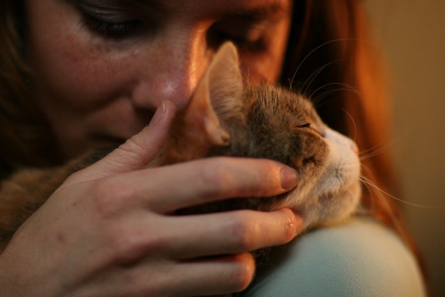Woman and Abyssinian Cat
