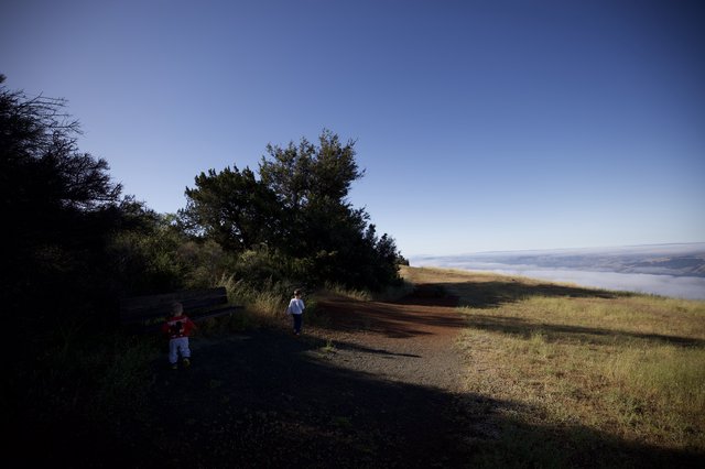 Children Explore Trail Above the Clouds at Mt. Diablo
