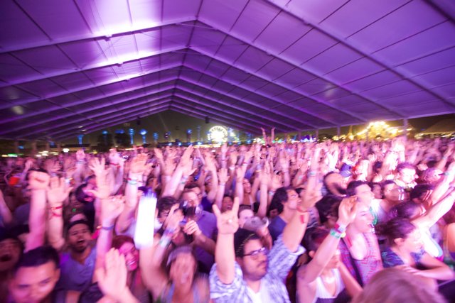 Coachella 2012 Crowd Goes Wild