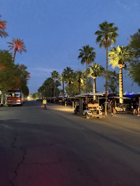 Twilight Stroll Through the Palm-lined Path