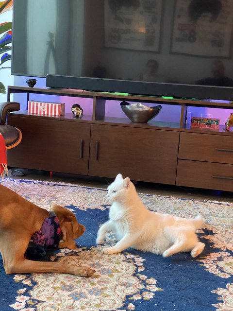 Playful Pets in a Tech-Savvy Living Room