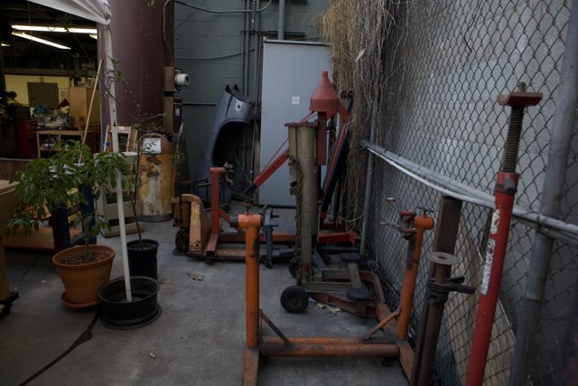 Tools and Potted Plants in the Yard