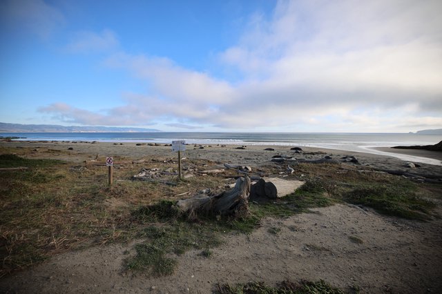 Coastal Path Leading to Elephant Seal Beach