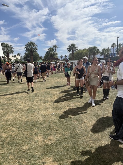 Gathering Under the Palm Sky