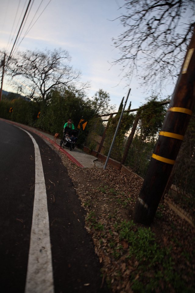 Motion-Blurred Dusk Walk Along Suburban Road