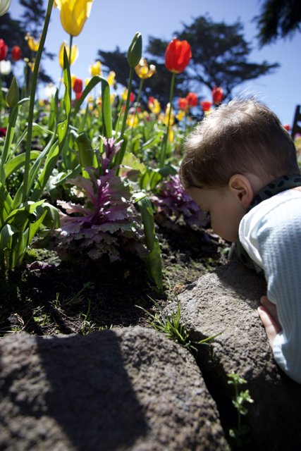Blossoming Curiosity: A Child's Fascination with Nature
