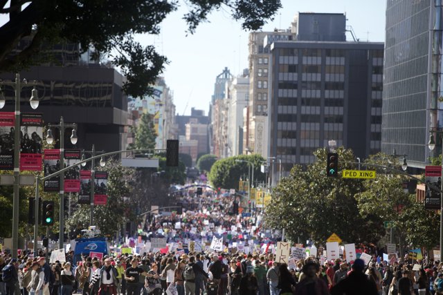 Massive Crowd Marches Through LA Streets