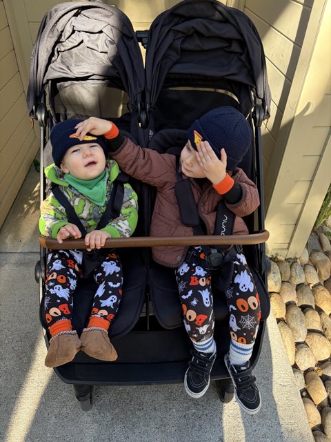 Double Trouble in Carmel