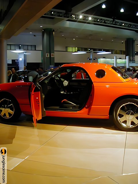 Bold and Beautiful: A Stunning Orange Sports Car at the LA Auto Show