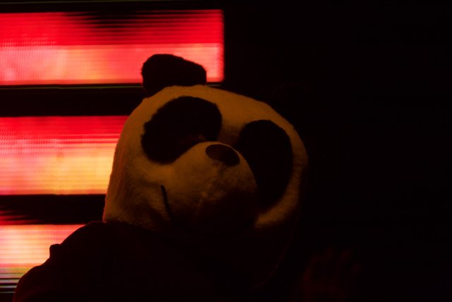 Pandemic Panda