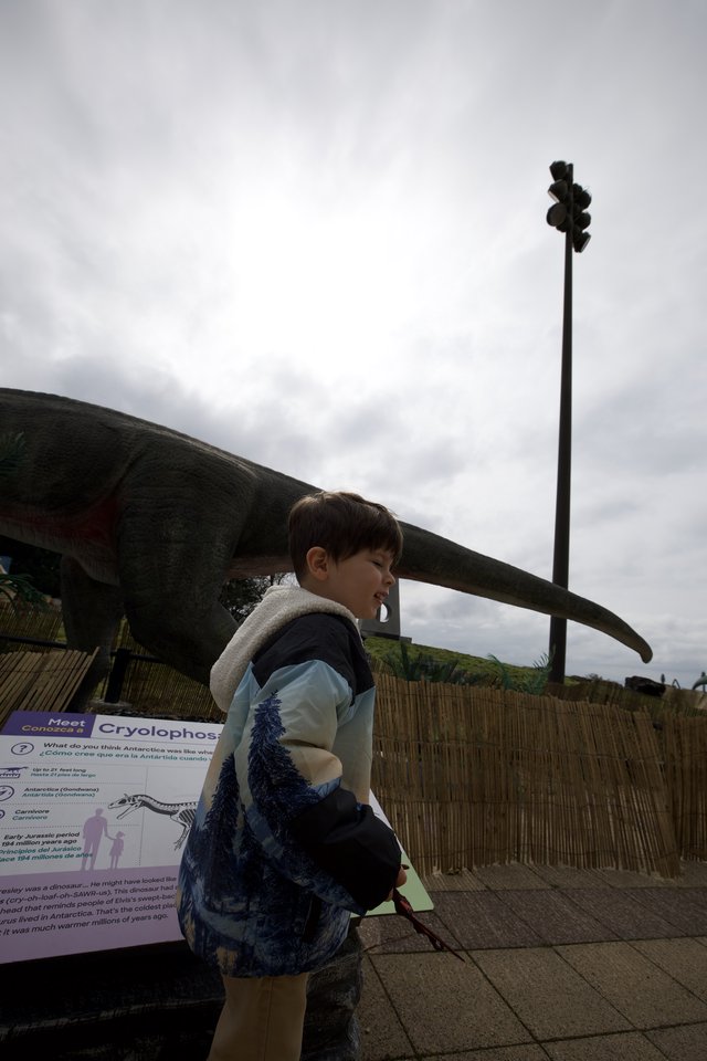 Young Boy Exploring Dinosaur Exhibit at Outdoor Museum