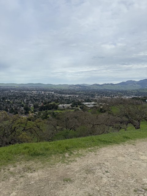 Overcast Serenity in Walnut Creek