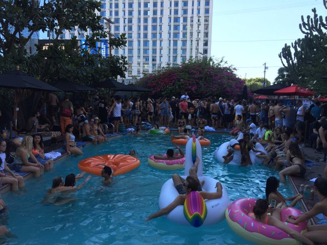 Pool Party Madness