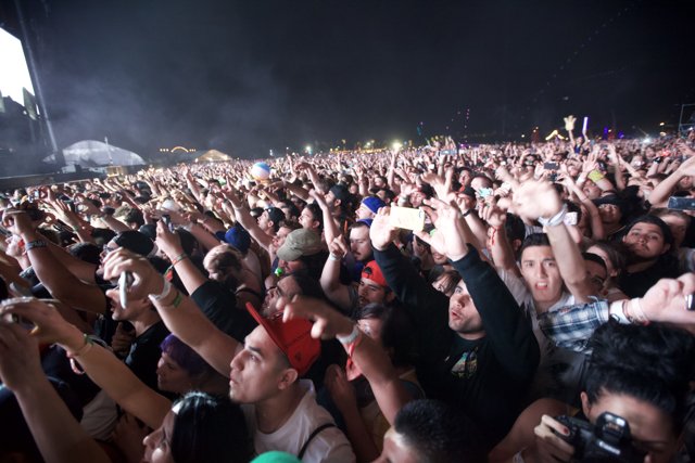 Coachella 2012: A Sea of Hands at the Concert