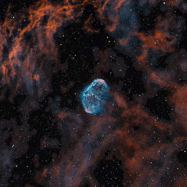 NGC 2175 Monkey Head Nebula in Emission Gas