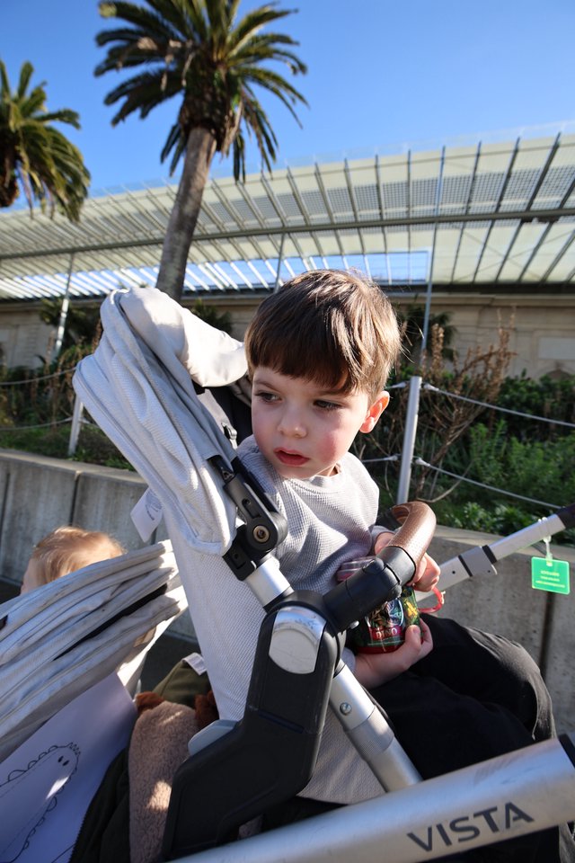 Young Boy in Stroller at Botanical Garden