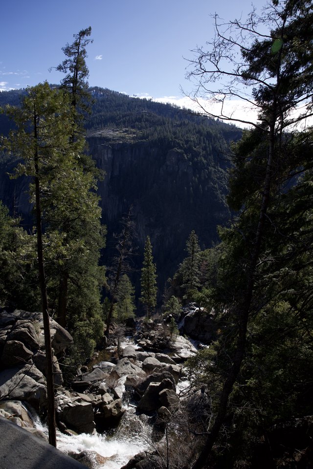 Mountain Stream Cascading Through Yosemite Valley Forest