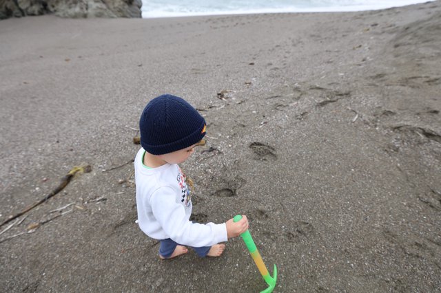 Little Explorer Playing in the Sand at the Beach
