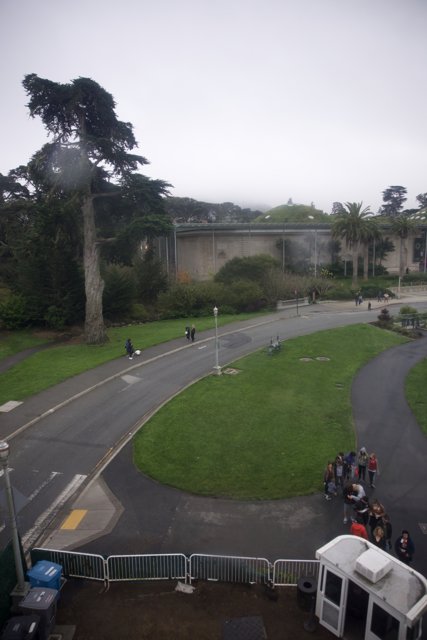 Vibrant City Life: A Day in Golden Gate Park