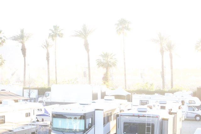 RV Oasis in the Palm Trees
