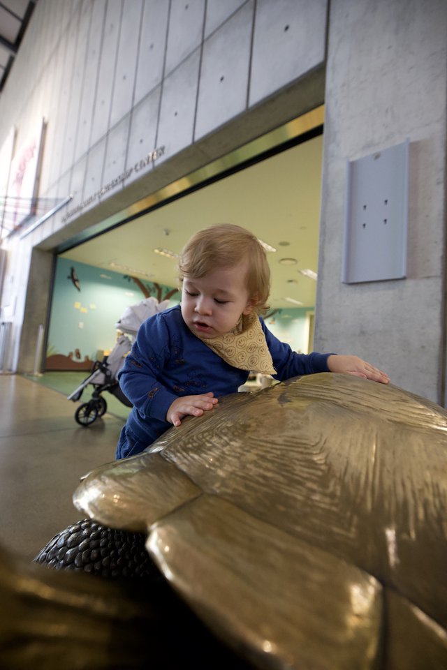 Toddler Discovering Interactive Art Installation in Museum