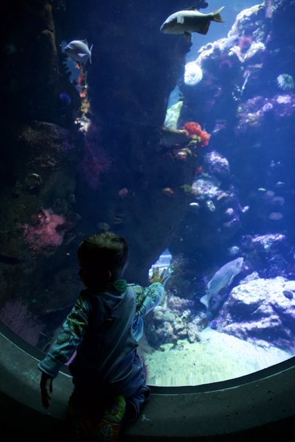 Captivated by the Underwater Wonderland