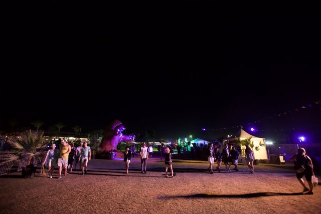 Nighttime Crowd in Festival Field
