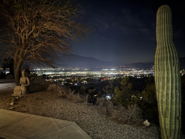 Tranquil Desert Night