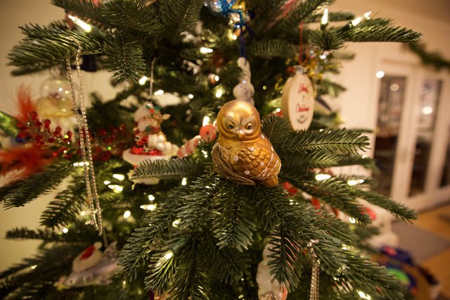 Golden Owl Ornament on Decorated Christmas Tree
