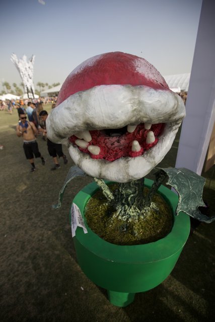 The Red Hat Mushroom at Coachella