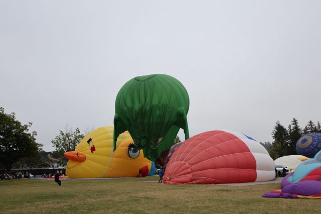 Giant Novelty Balloons Inflate at Sonoma County Festival