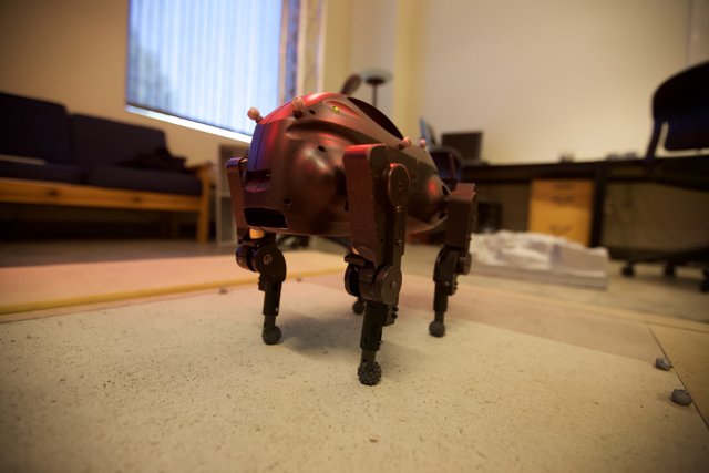 Robotic Figurine on Hardwood Floor